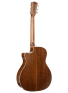 Essence-GA4 Special (Brown Burst Semi Gloss), зображення 2